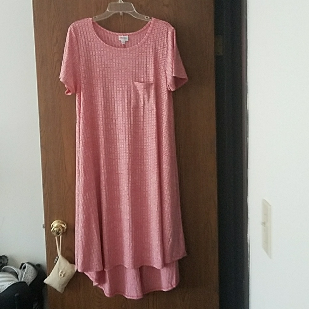 BNWT Lularoe Carly Sz L